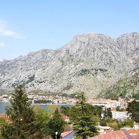 Apartment Baletic Kotor Buitenkant foto